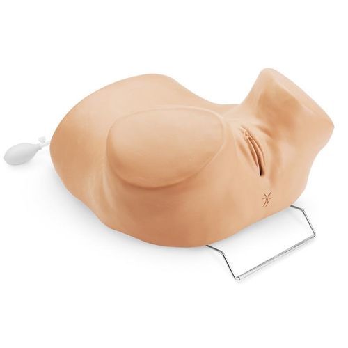 Simulatore per esame pelvico - R10186 - Erler-Zimmer - per inserzione di DIU / femminile / di adulto