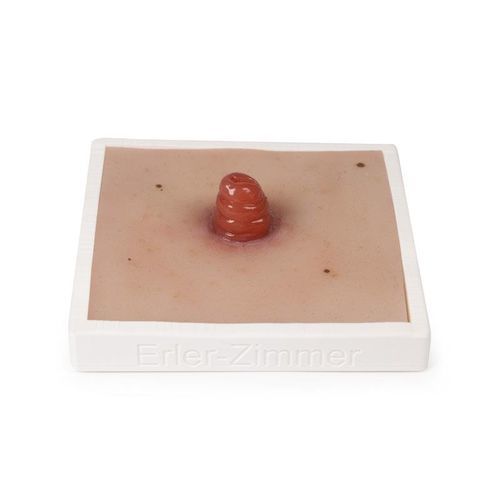 Simulatore di trattamento di ferite - PW020 - Erler-Zimmer - per cura di stomie / pad / in plastica
