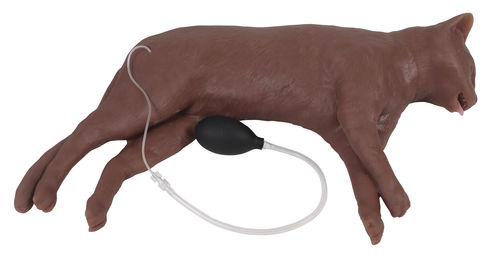 Manichino didattico veterinario - VET4880 - Erler-Zimmer - per RCP / di felino / di petto