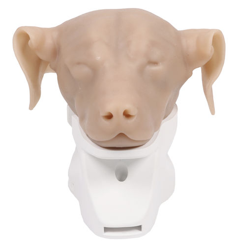 Simulatore didattico - VET4670 - Erler-Zimmer - di otoscopia / veterinario / cane