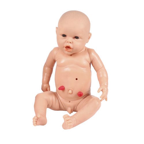 Simulatore di paziente per tracheotomia - BA185 - Erler-Zimmer - di nutrizione / per cure infermieristiche / maschile