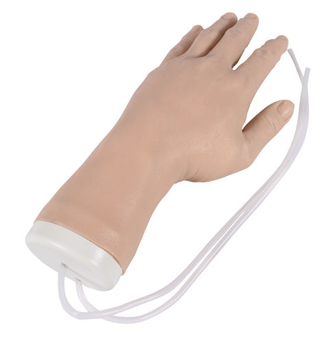 Simulatore per iniezioni endovenose - 8035 - Erler-Zimmer - per assistenza generale / di mano