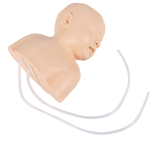 Simulatore per puntura - 8040 - Erler-Zimmer - per iniezioni / per assistenza generale / neonatale