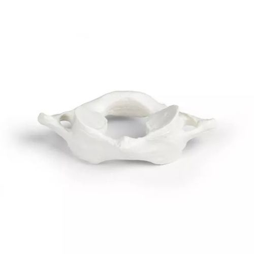 Modello anatomico di vertebre - 3062 - Erler-Zimmer - di adulto / maschile / bianco