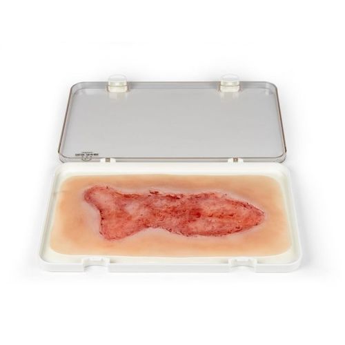 Simulatore di trattamento di ferite - PW003C - Erler-Zimmer - per cure infermieristiche / pad