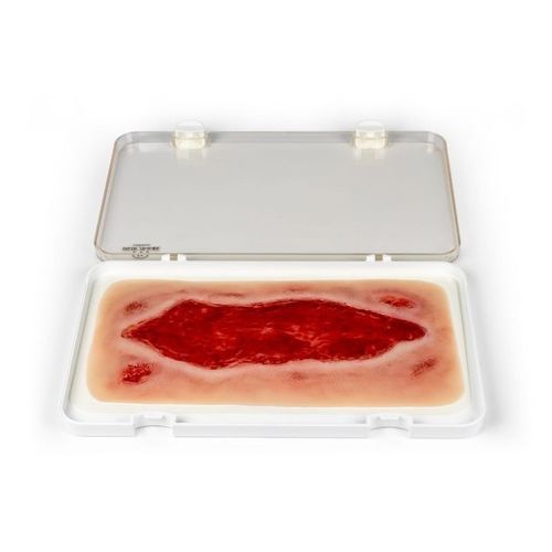 Simulatore di trattamento di ferite - PW005B - Erler-Zimmer - per cure infermieristiche / pad