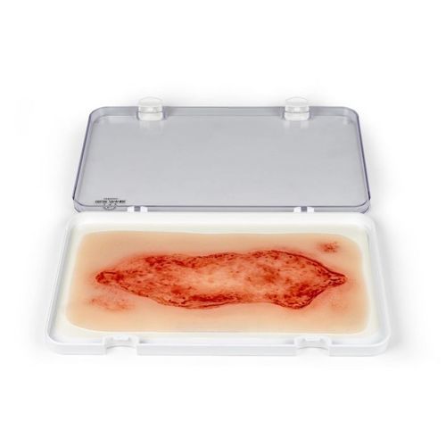 Simulatore di trattamento di ferite - PW005C - Erler-Zimmer - per cure infermieristiche / pad