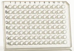 Micropiastra per PCR - ECPCR07 series - EuroClone - di trasferimento / a 96 pozzetti / biologica