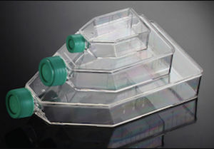 Matraccio per coltura cellulare - Primo® - EuroClone - in polistirene / in polietilene / in plastica