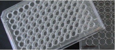 Micropiastra da laboratorio - Primo® - EuroClone - per coltura cellulare / a 48 pozzetti