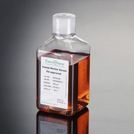 Reagente di siero - ECS01 series - EuroClone - FBS / fattore di crescita / fibronectina