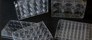 Micropiastra da laboratorio - ET3196 - EuroClone - per coltura cellulare / a 96 pozzetti