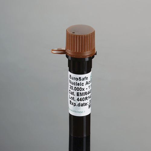 Reagente colorante - EuroSafe - EuroClone - per elettroforesi / per acidi nucleici / liquido