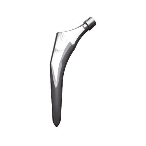 Stelo femorale cementato o non cementato - F2H - FH Orthopedics