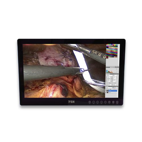 Monitor medico - FS-E2101DT - FSN Medical Technologies - per endoscopia / HD / 21,5"