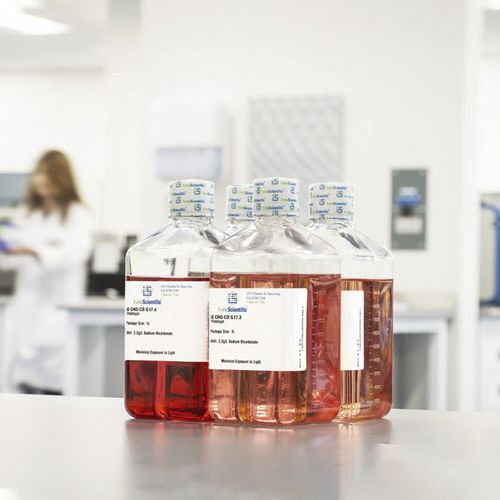 Mezzo reattivo - CHO  - FUJIFILM Healthcare - per coltura cellulare / da ricerca / liquido