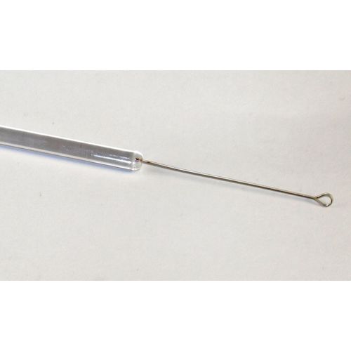Ansa da inoculo da laboratorio - 40036   - Glaswarenfabrik Karl Hecht