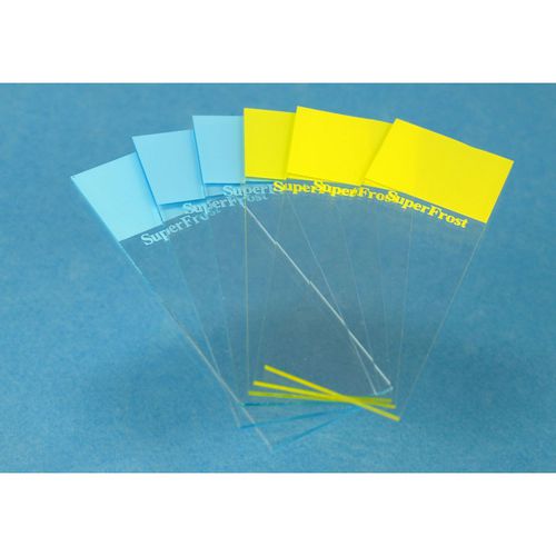 Vetrino per microscopio - SuperFrost® - Glaswarenfabrik Karl Hecht