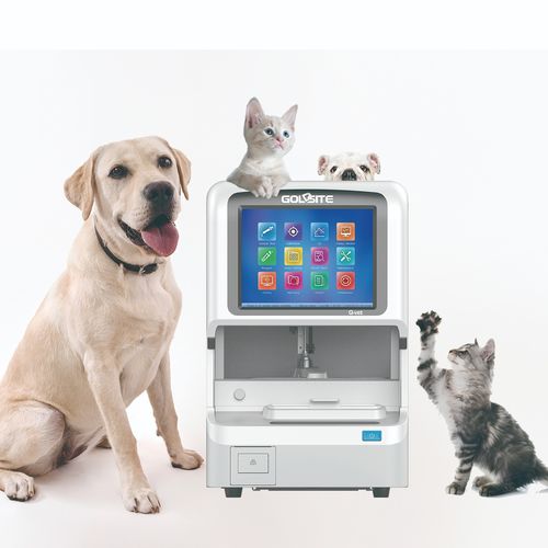Analizzatore di chimica clinica automatico - Q-Vet - Goldsite Diagnostics Inc. - veterinario / da banco / con analisi di elettroliti