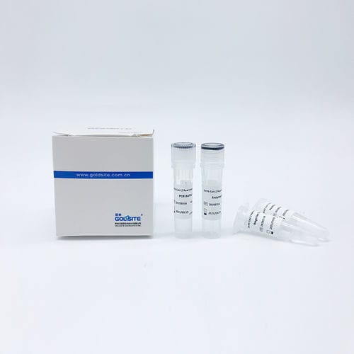 Kit di reagenti soluzione tampone - Goldsite Diagnostics Inc. - DNA polimerasi / transcrittasi inversa / per acidi nucleici
