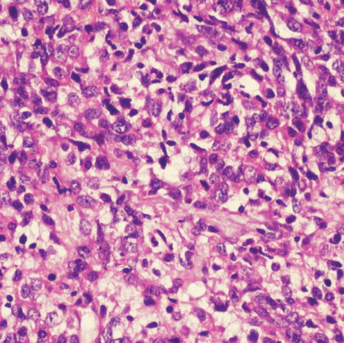Reagente soluzione colorante - 01HEMM1000 - Histo-Line Laboratories - colorante / per istologia / liquido