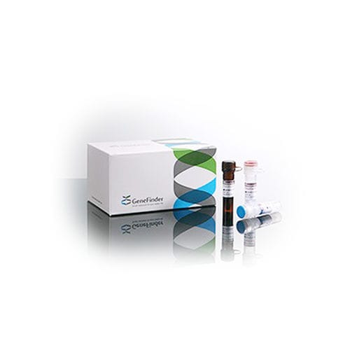 Kit di test per malattie reumatiche - GeneFinder™ - OSANG Healthcare - HLA-B27 / di sangue totale / per PCR real-time