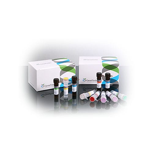 Kit di test per malattie infettive - GeneFinder™  - OSANG Healthcare - del cancro del collo dell'utero / di oncologia / HPV