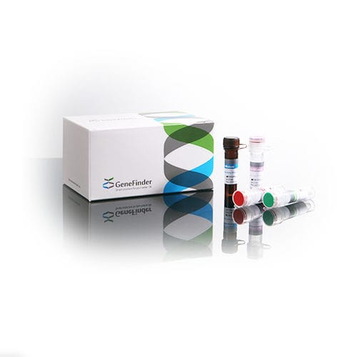 Kit di test della tubercolosi - GeneFinder™  - OSANG Healthcare - del complesso Mycobacterium tuberculosis / del Mycobacterium tuberculosis / di micobatteri