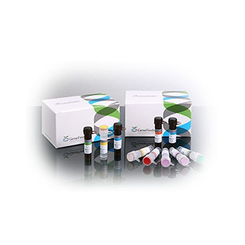 Kit di test per malattie infettive - GeneFinder™ - OSANG Healthcare - del papillomavirus umano / di secrezioni vaginali / per PCR