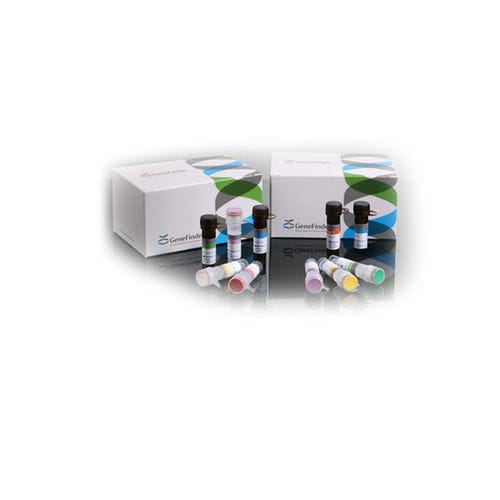 Kit di test della febbre dengue - GeneFinder™ - OSANG Healthcare - della chikungunya / per malattie infettive / di siero