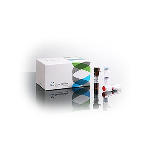 Kit di test per malattie infiammatorie - GeneFinder™ - OSANG Healthcare - per il gene HLA-B / di sangue totale / ambientale