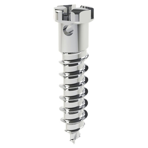 Miniimpianto in titanio - DualTop - G1  - Jeil Medical Corporation - a vite / di ancoraggio ortodontico / autofilettante