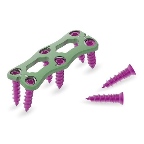 Placca per artrodesi cervicale - Flex Wing - Jeil Medical Corporation - bloccata / in titanio / 2 livelli