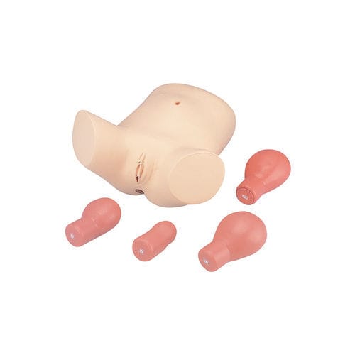 Manichino didattico per cure ginecologiche - LM-055 - KOKEN  - di palpazione / di pelvi