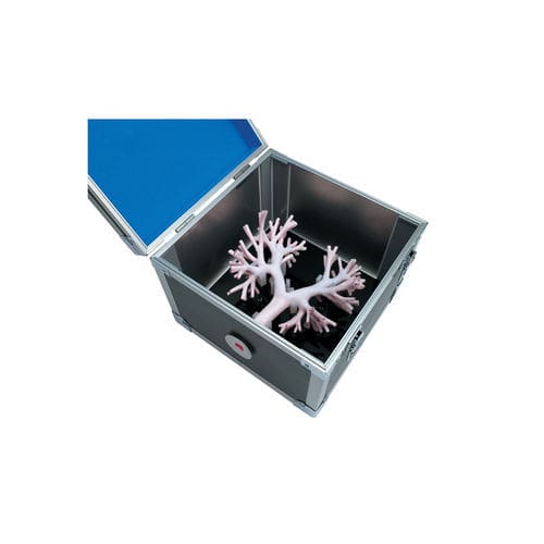 Modello anatomico di polmone - LM-092 - KOKEN 