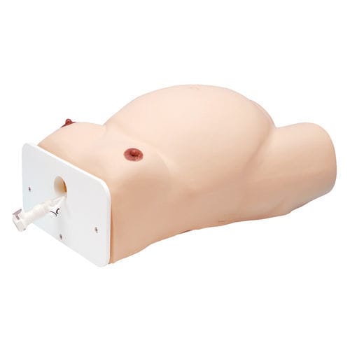 Manichino didattico per cure ginecologiche - LM-080 - KOKEN  - di gravidanza / femminile / di torso