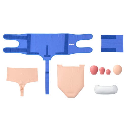 Modello anatomico uterino - LM-116 - KOKEN  - per cure ginecologiche / didattico / per palpazione dell’utero puerperale