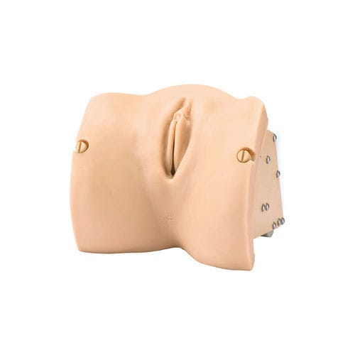 Manichino didattico ostetrico/ginecologico - LM-101F - KOKEN  - per esame pelvico / di gravidanza / femminile