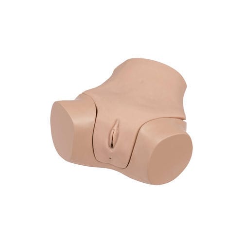 Simulatore didattico - LM-110 - KOKEN  - di palpazione rettale / ginecologico / femminile