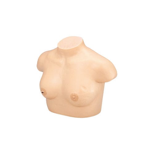 Manichino didattico per cure ginecologiche - LM-018 - KOKEN  - di palpazione / femminile / di seno