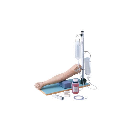 Modello anatomico di braccio - LM-074 - KOKEN  - di vena / per cure infermieristiche / per iniezioni intramuscolari