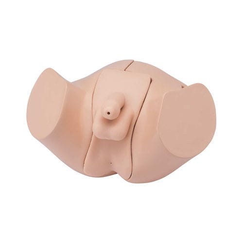 Simulatore per cataterismo - LM-109M - KOKEN  - per lavaggio intestinale / per assistenza generale / di adulto