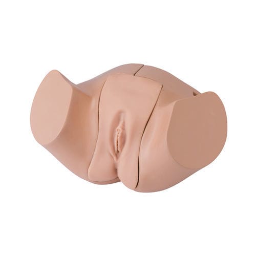 Simulatore per cataterismo - LM-109F - KOKEN  - di anatomia / femminile / di adulto