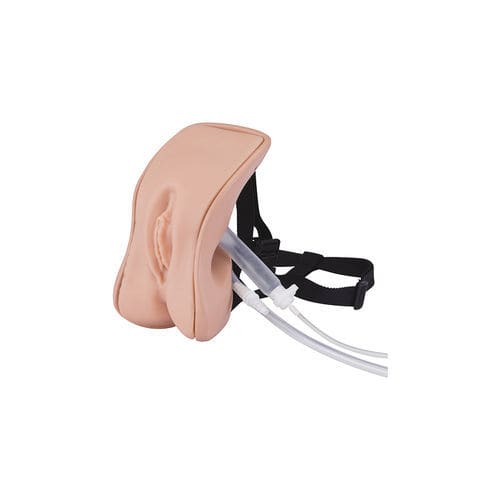 Simulatore per cataterismo - LM-109FA - KOKEN  - per lavaggio intestinale / per cure ginecologiche / femminile