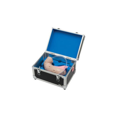 Modello anatomico di stomaco - LM-083 - KOKEN  - di esofago / di epigastrio / corpo