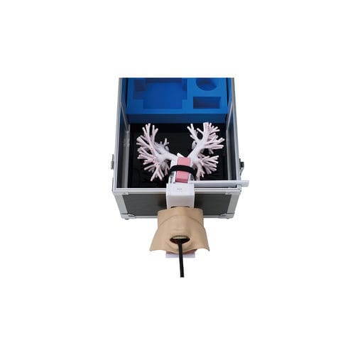 Simulatore didattico - LM-099 - KOKEN  - per puntura / per ecografia / per broncoscopia