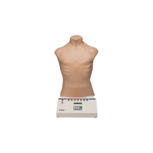 Simulatore didattico - LM-084 - KOKEN  - di palpazione / per auscultazione / di respirazione