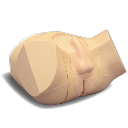 Simulatore di palpazione prostatica - MW20 - Kyoto Kagaku  - di palpazione rettale / per cure urologiche / di tumore