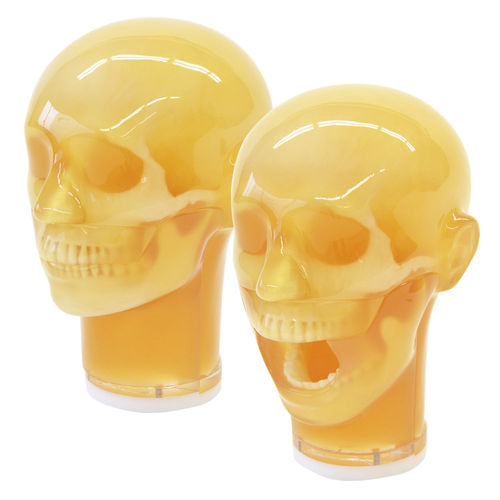 Phantom di calibrazione per radiografia dentale - PH-76 - Kyoto Kagaku  - di testa