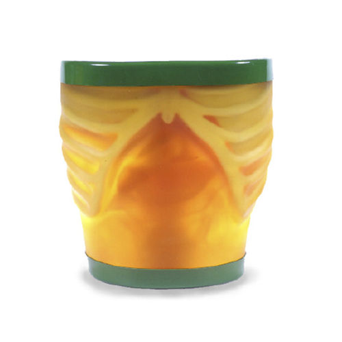 Phantom di calibrazione per ecografia - ECHOZY - Kyoto Kagaku  - di addome